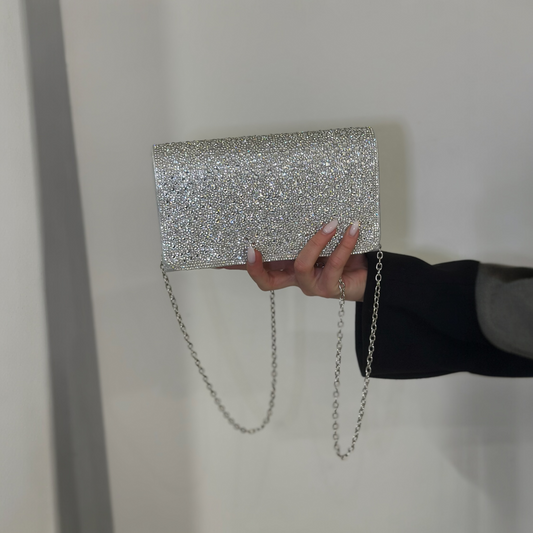 Borsa Leila Silver